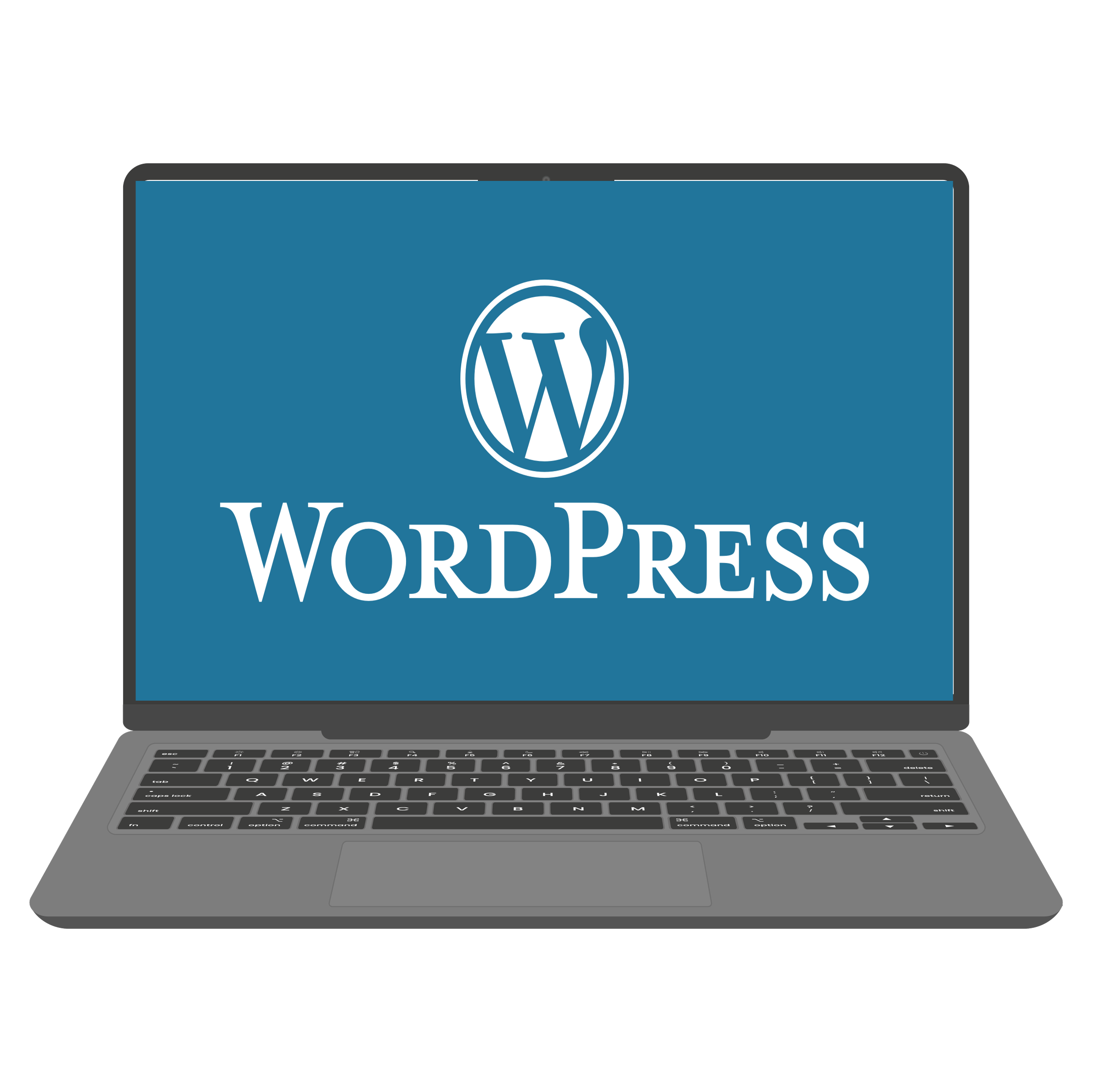 WordPress Development on Laptop